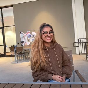 brown crop teddy hoodie